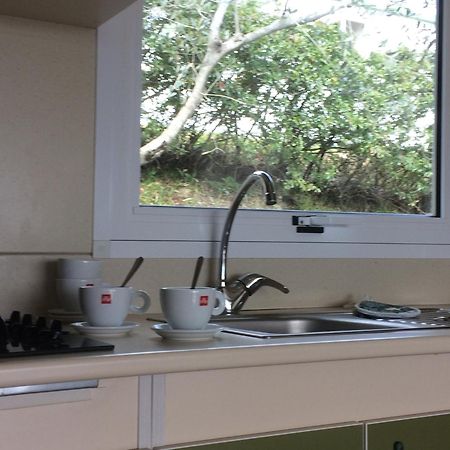 Camping Le Soline Casciano Di Murlo 객실 사진