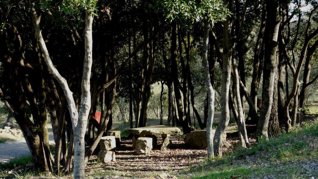 Camping Le Soline Casciano Di Murlo 외부 사진
