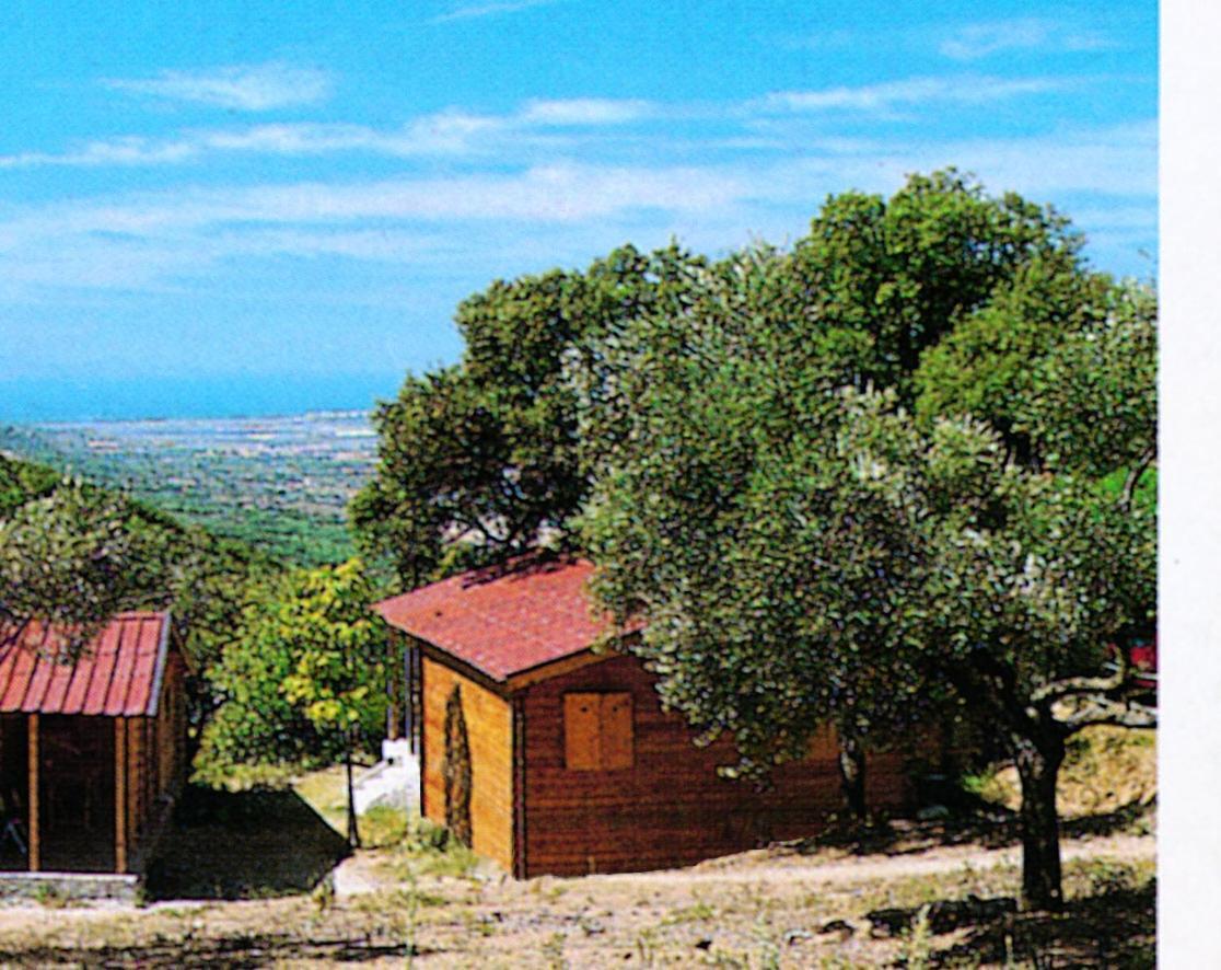Camping Le Soline Casciano Di Murlo 외부 사진